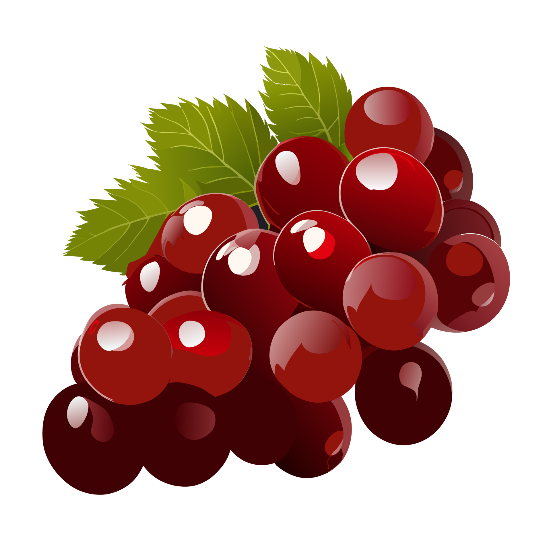 Red grape with leaves isolated on white background. ai generative 27146600 PNG