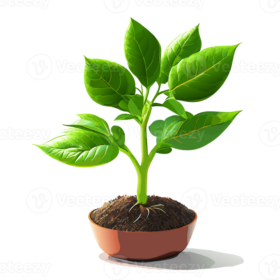 aguarela jovem verde plantar crescente. ai generativo png