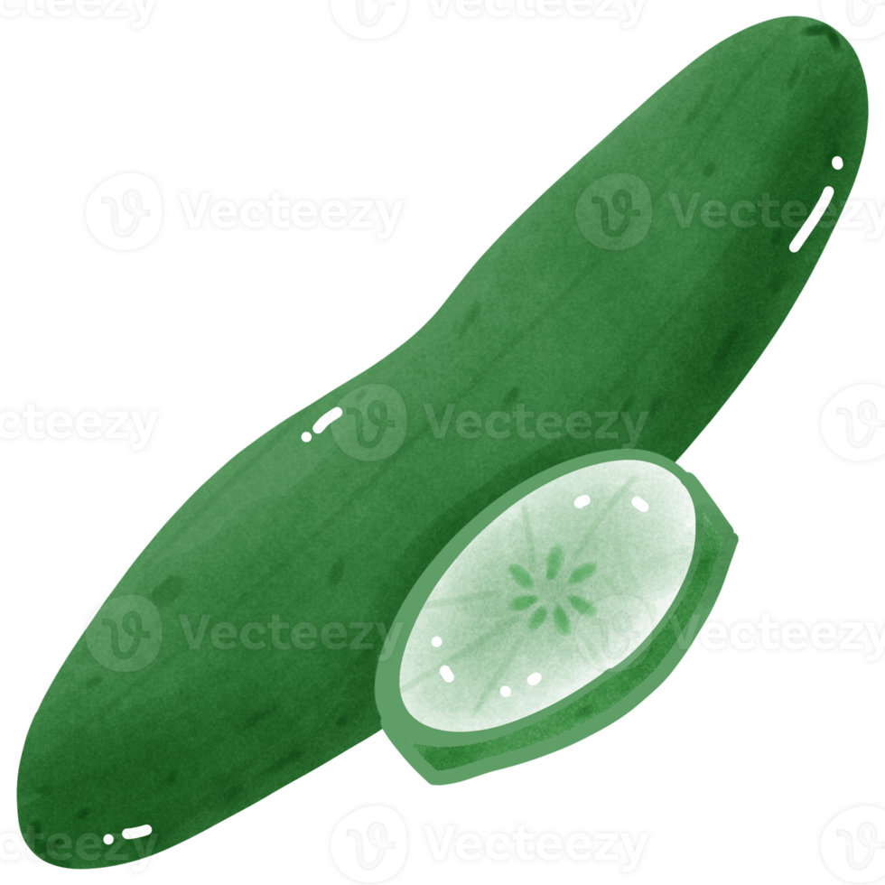 a cucumber and a slice of cucumber on a transparent background png