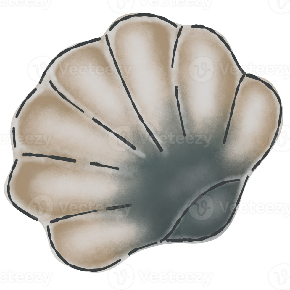 Scallops art cartoon 27147024 PNG