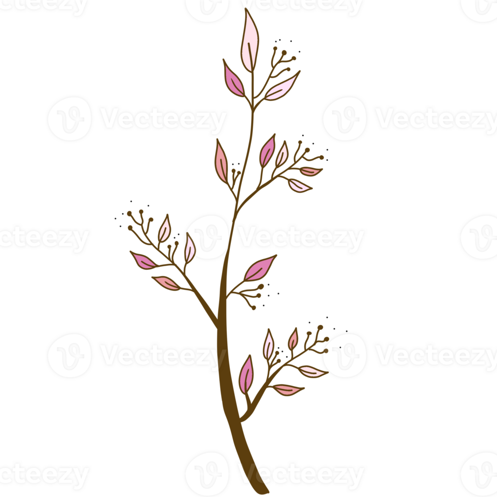 a branch with leaves and green leaves on it png