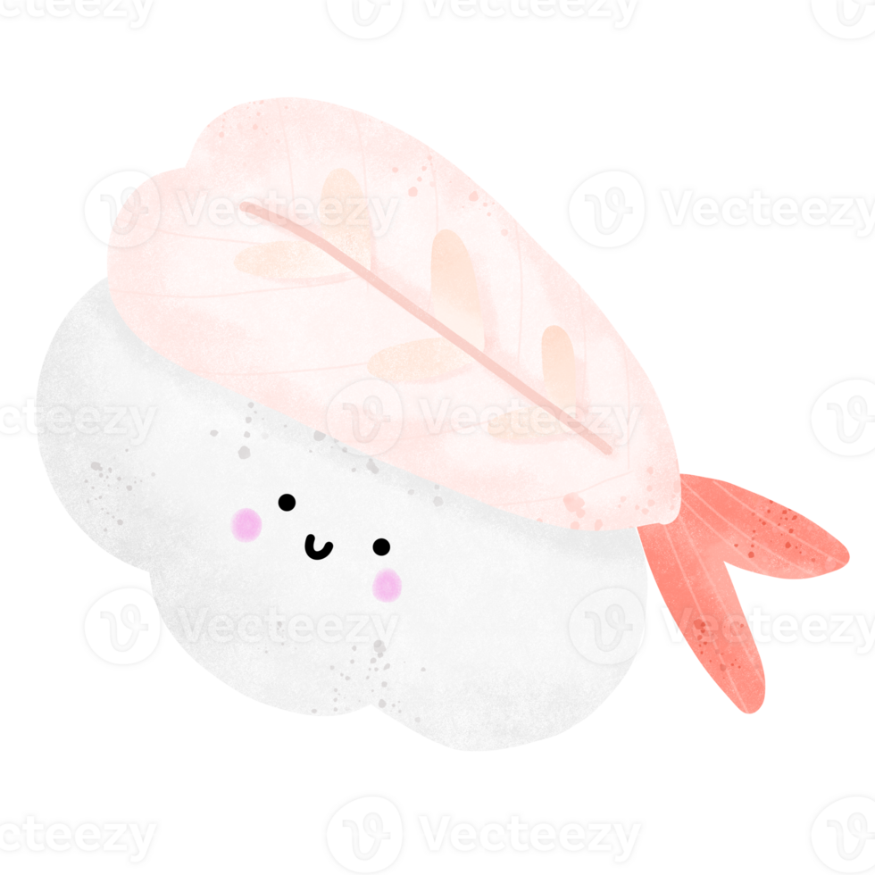 Sushi and rice ball png
