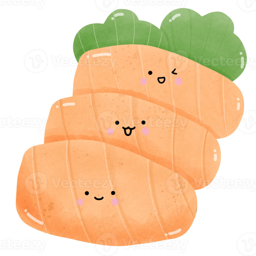 Sushi and rice ball png