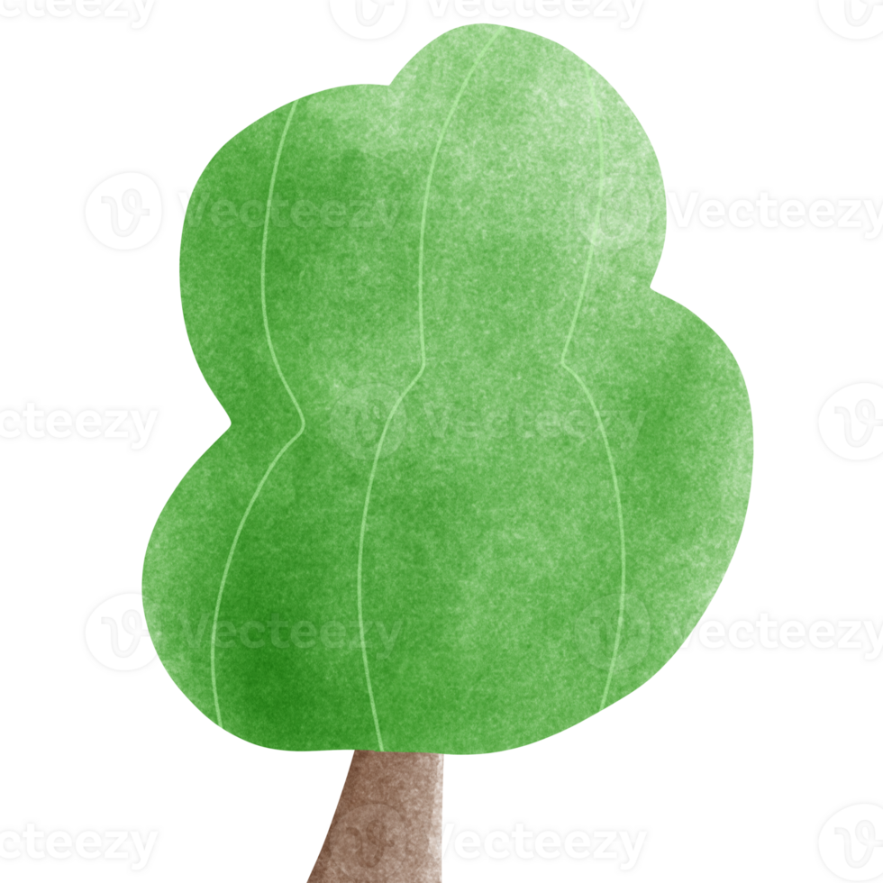 a green tree with a brown trunk on a transparent background png