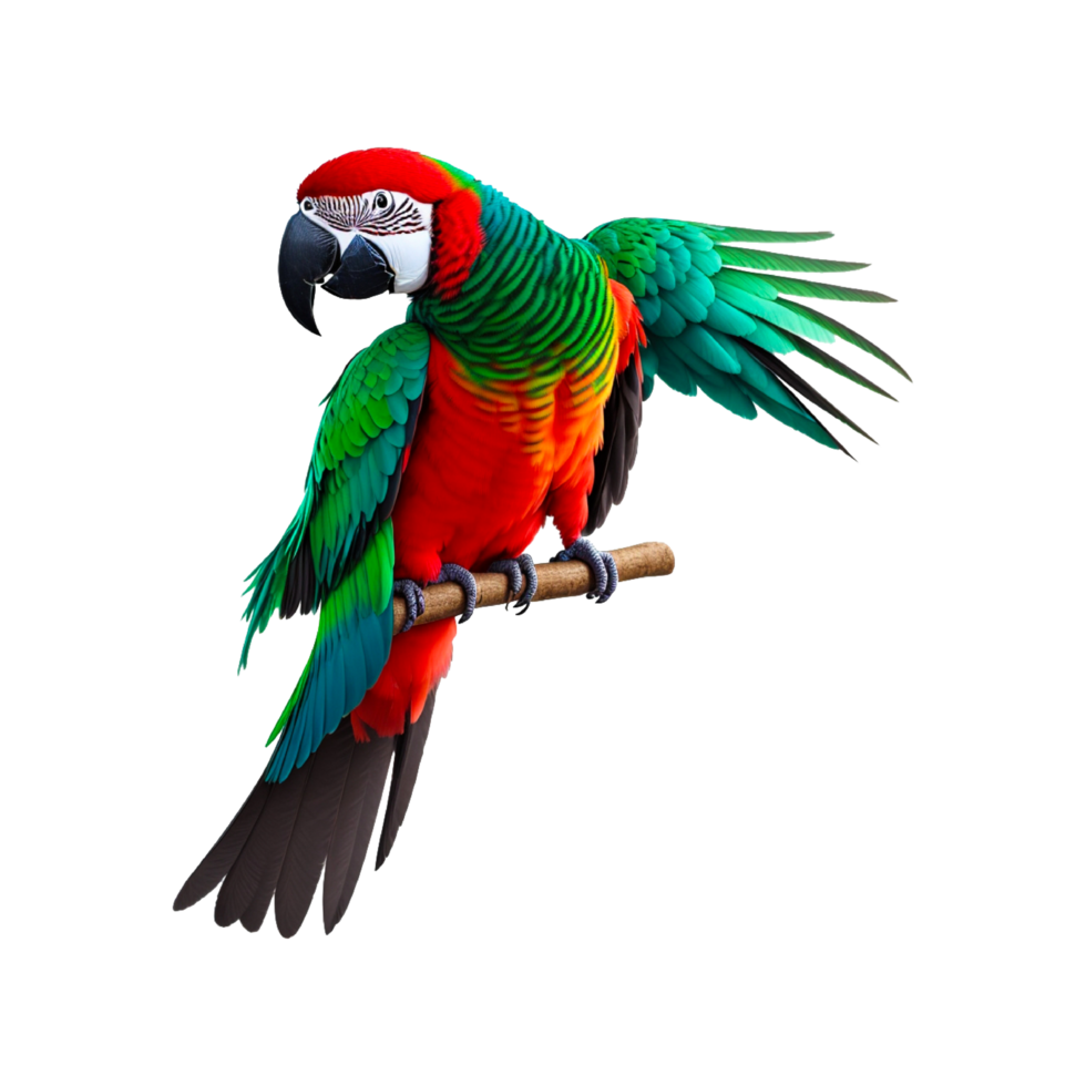 rojo y amarillo guacamayo, pájaro cierto loro guacamayo, loro, animales, vertebrado, animal png generativo ai