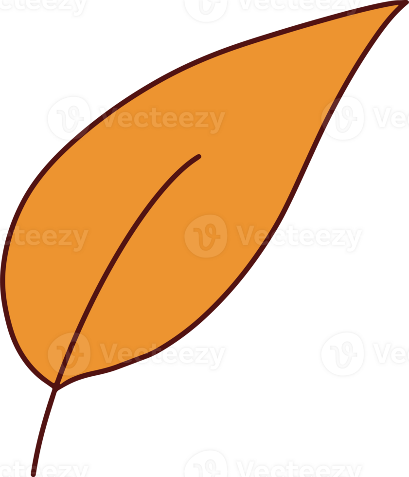 Autumn Hand Drawing with Orange Leaf png