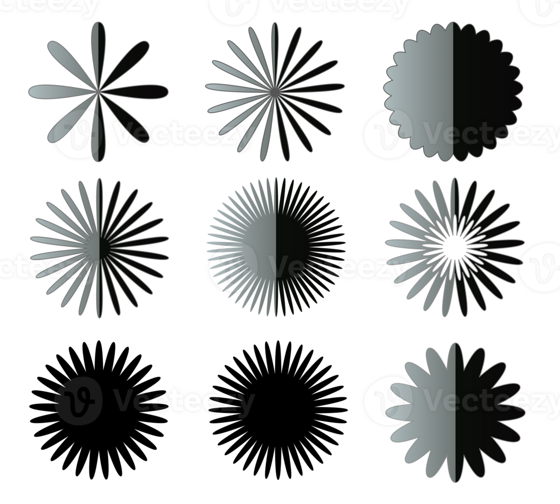 Black and white flower shapes png