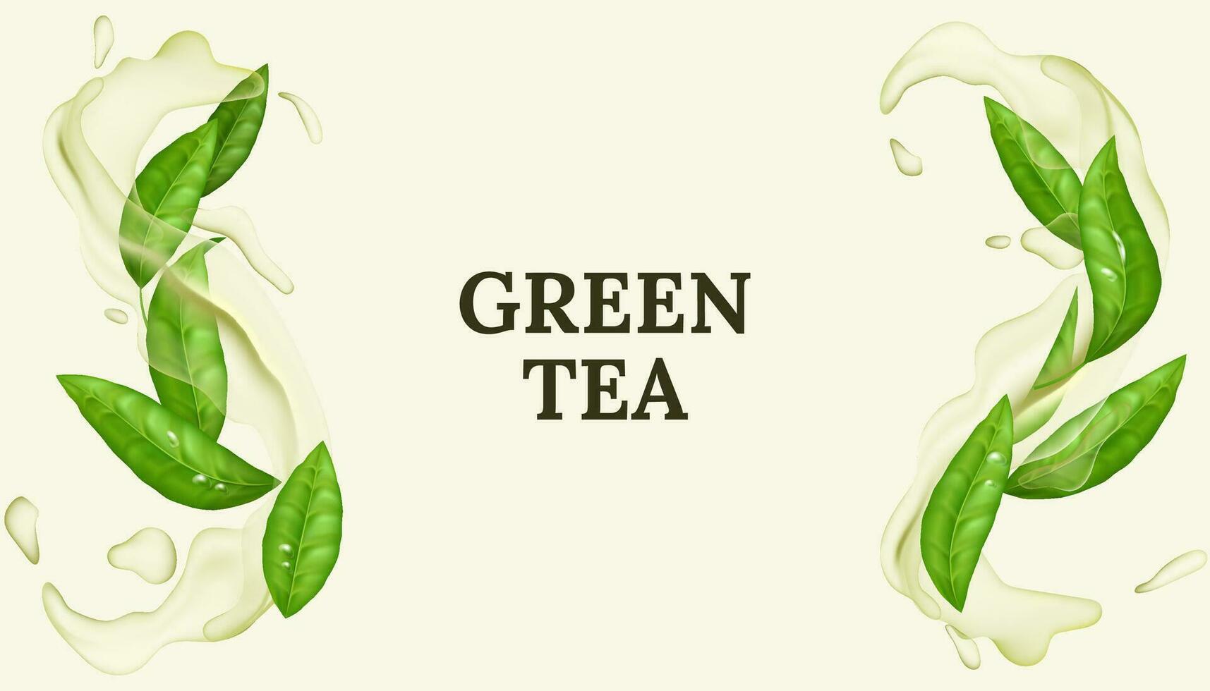 Refreshing green tea leaf in 3D vector illustration. Natural and organic, with a splash of water creating a cool and clean motion. Spearmint aroma and fresh minty flavor.