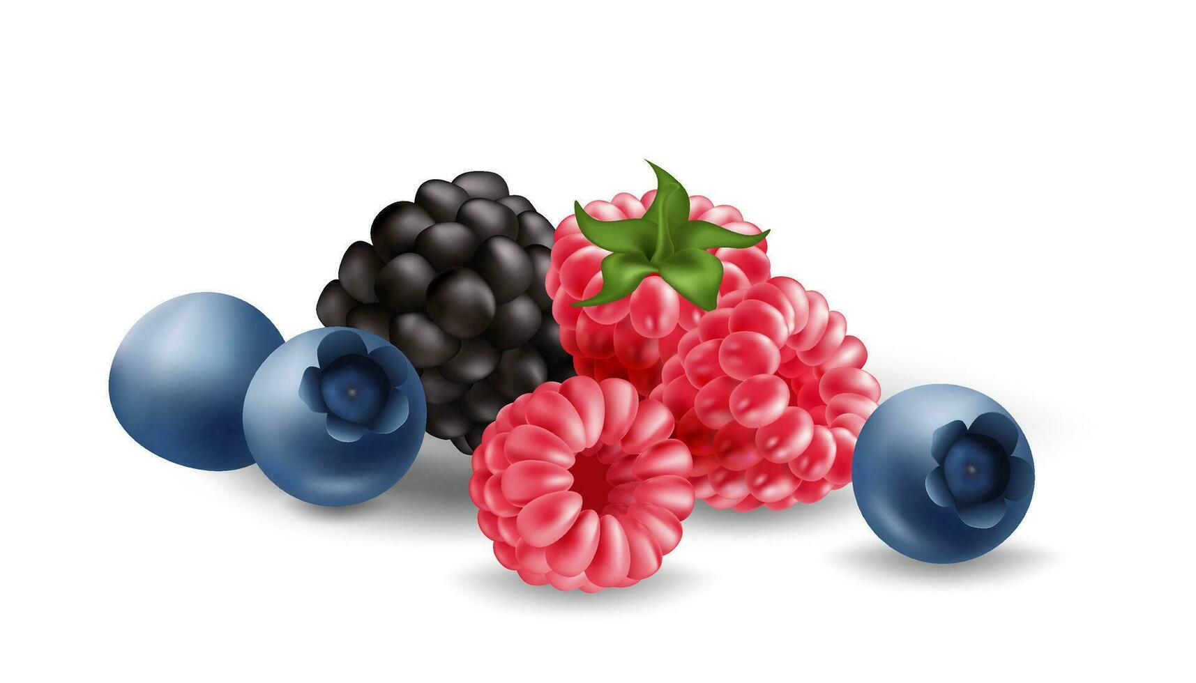 Realistic vector illustration set features a group of ripe and juicy berries, including blueberries, raspberries, and blackberries. Delicious fruits for any summer themed design