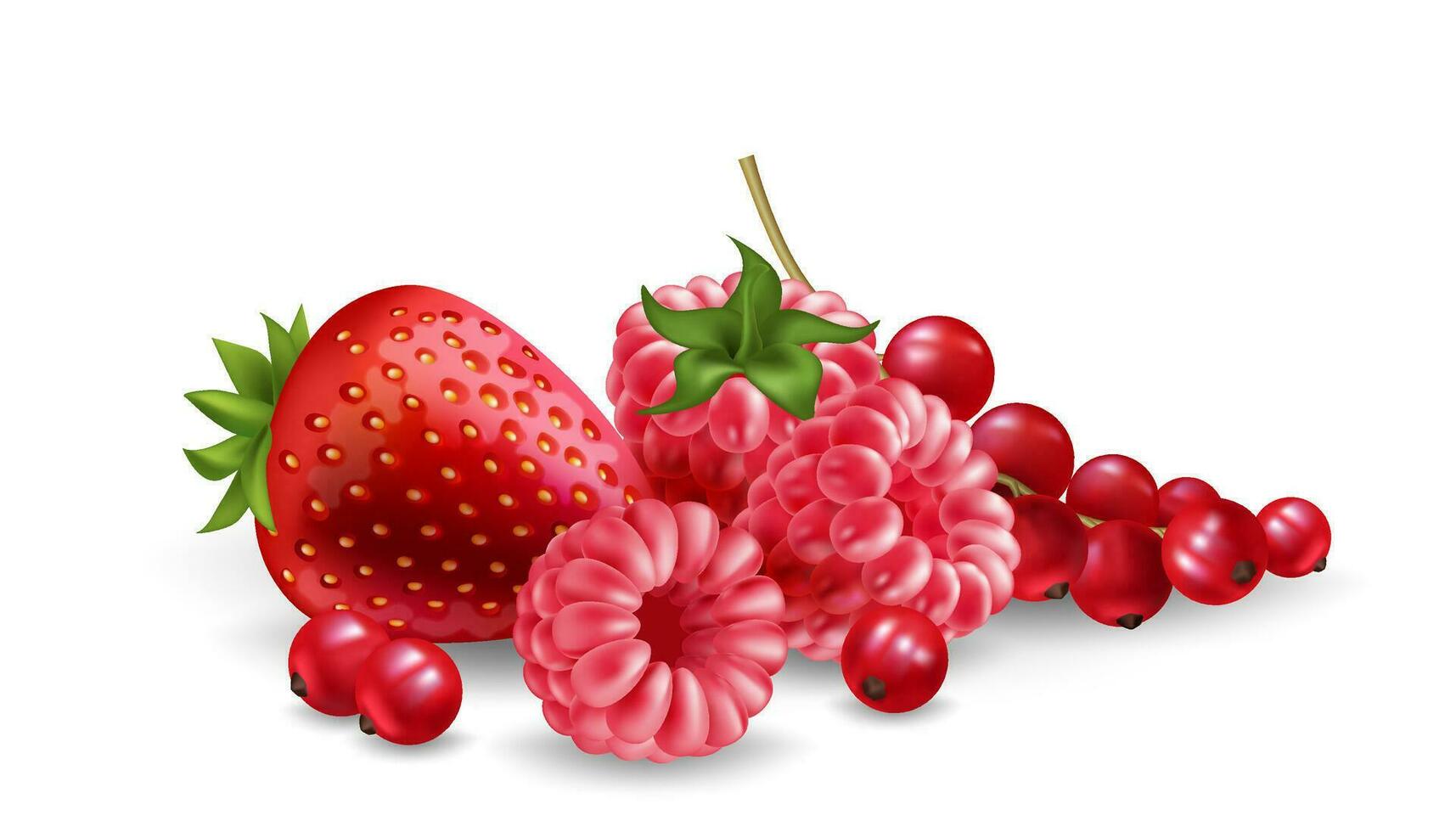 un vibrante montón de rojo bayas frambuesa, fresa, y grosella. fresco, jugoso, y realista Fruta ilustración para comida jugo, postre, gelatina, dulce, hielo crema y gráfico diseño proyectos vector