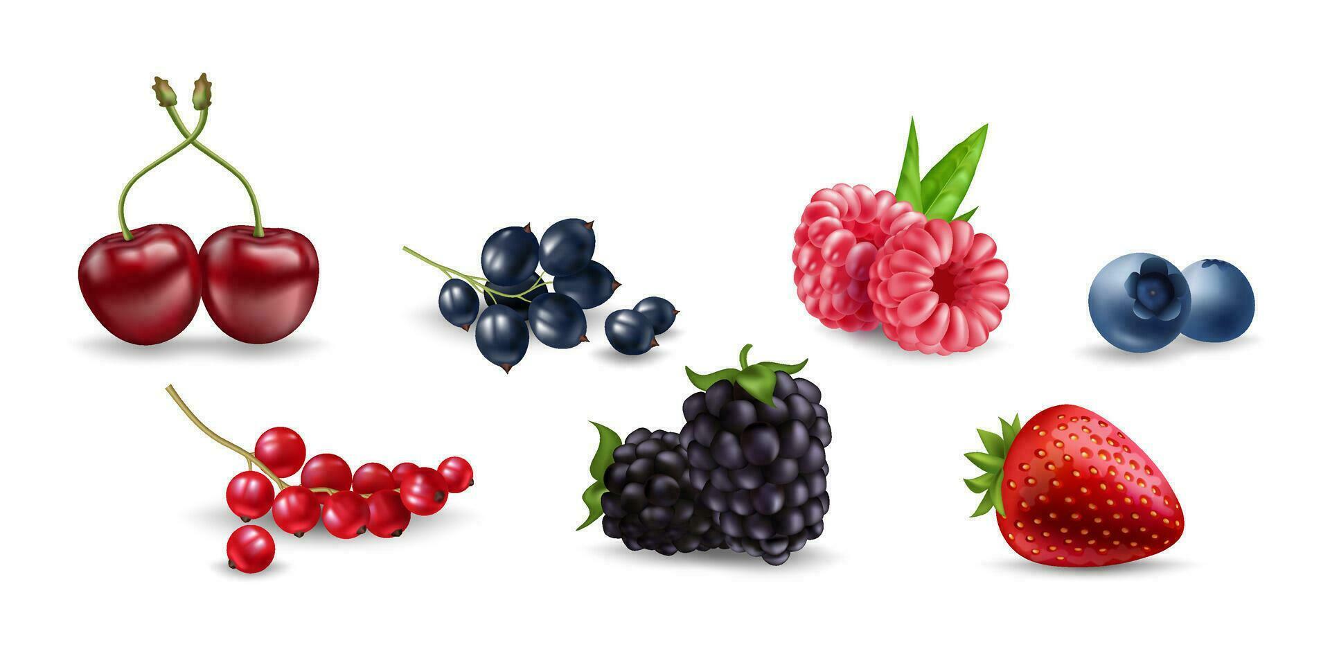 Juicy vector berries raspberry, blueberry, cherry, currant, blackberry, strawberry on white background. Fresh, realistic, and organic fruit illustrations. Ideal for food, health, and nature designs.