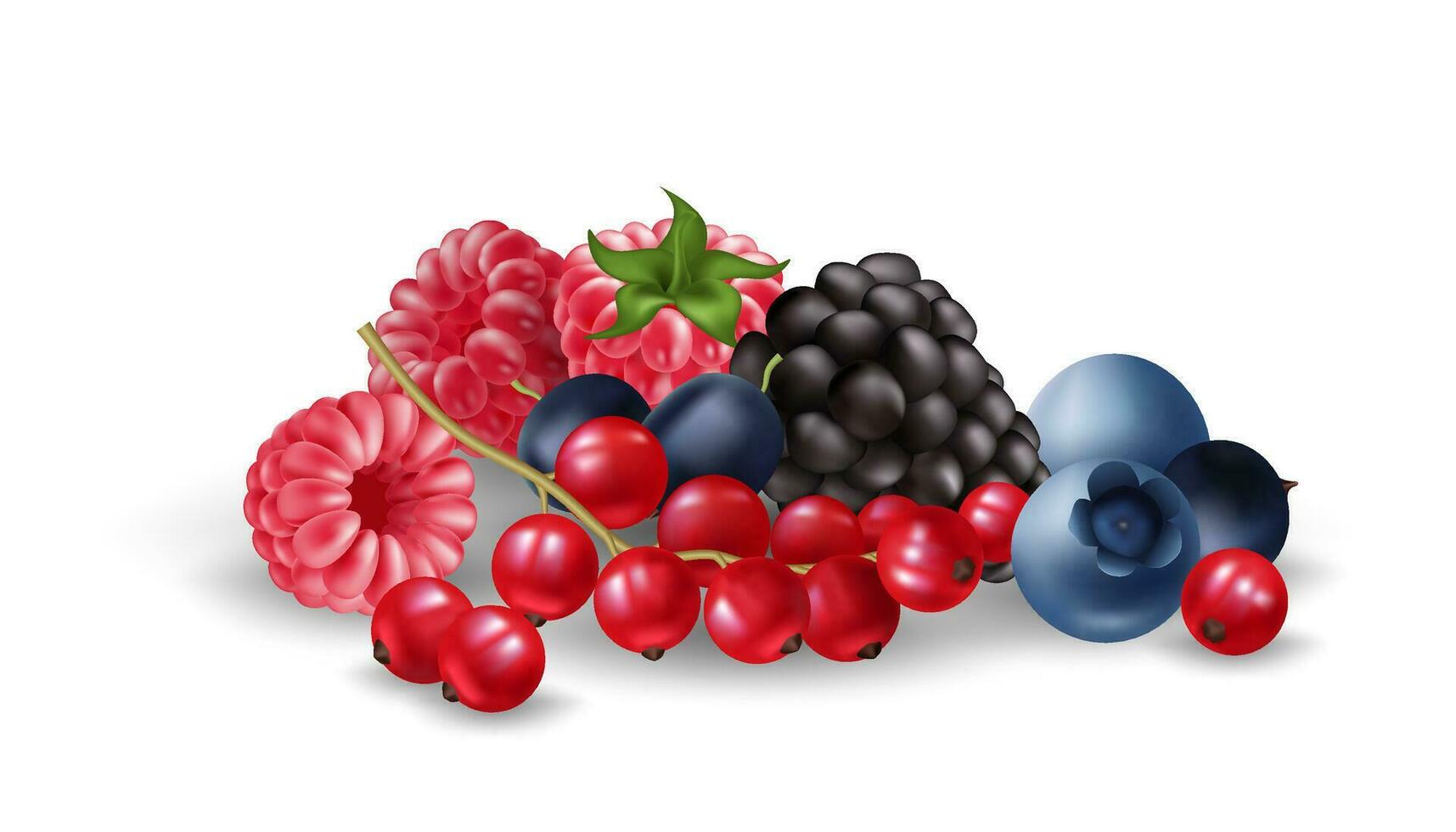 Realistic vector illustration set features a group of ripe and juicy berries, including blueberries, raspberries, blackberries, redcurrant. Delicious fruits for any summer themed design