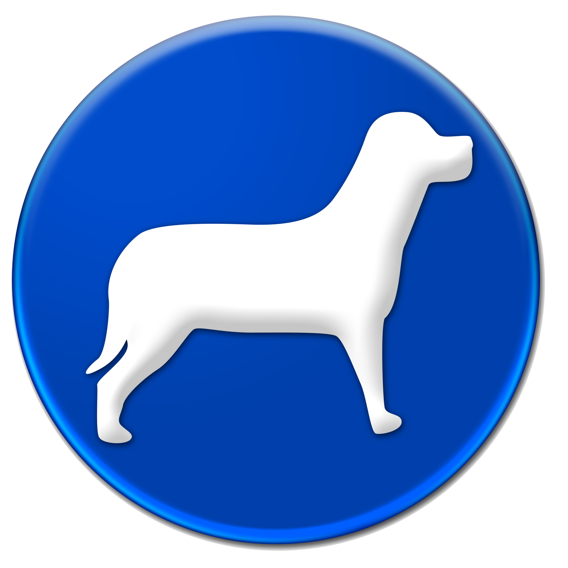 Dog symbol icon isolated over transparent background 27149214 PNG