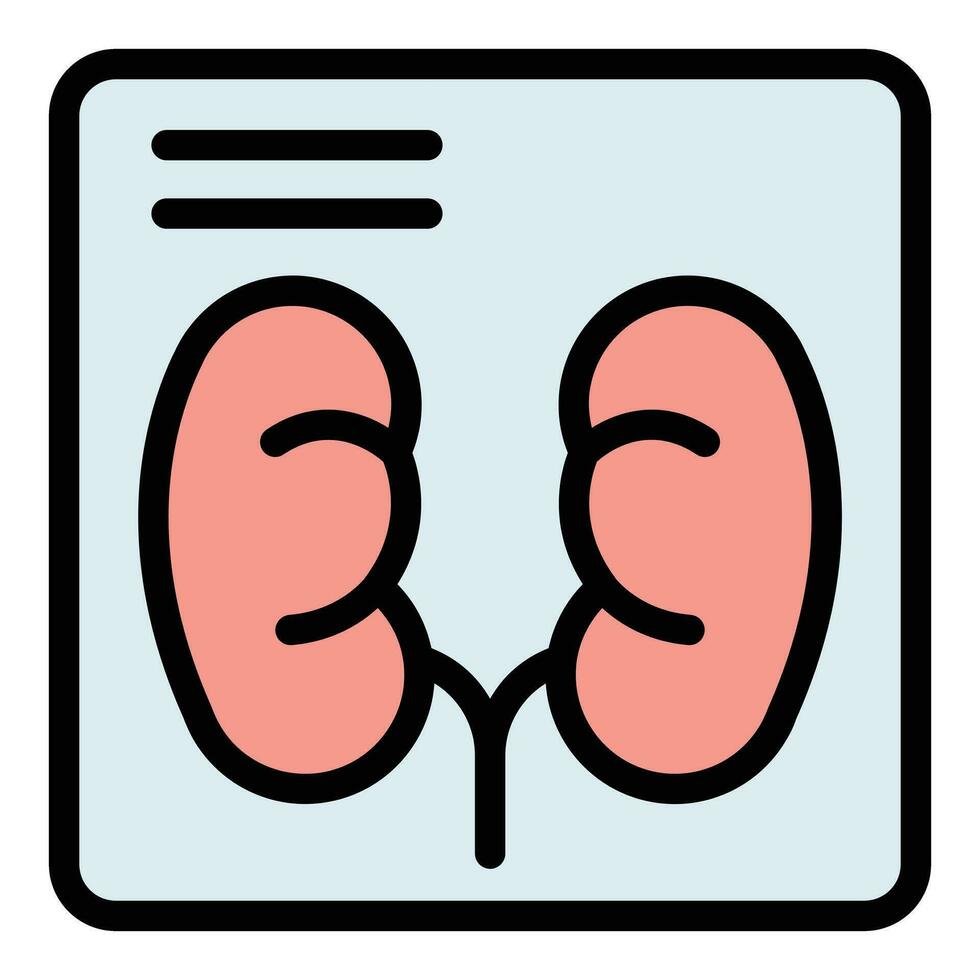 Human kidney examination icon vector flat
