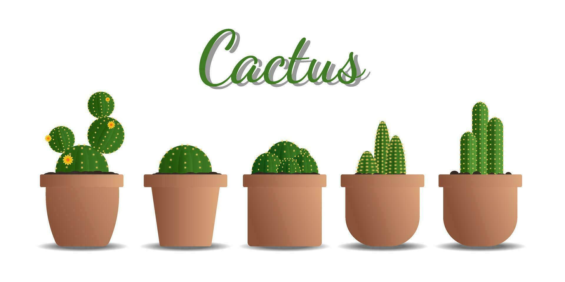 beautiful and cute set of cactus and pots clip art vector