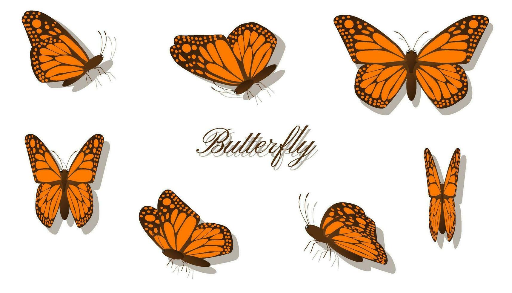 Orange Butterfly Illustration Clip Art Set vector