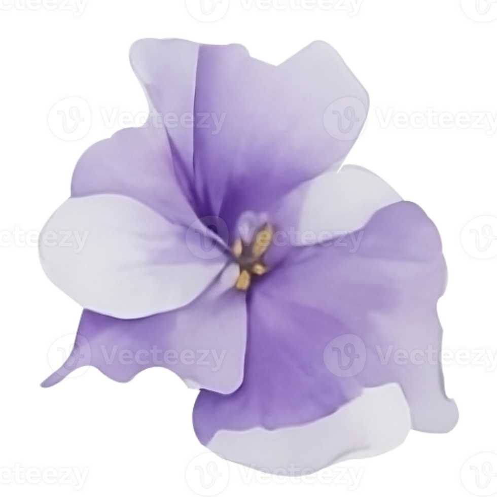 Purple or violet Morning glory flower clip art or sticker png