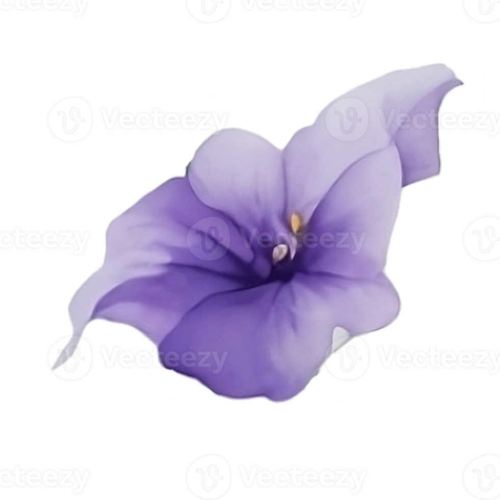 Purple or violet Morning glory flower clip art or sticker png