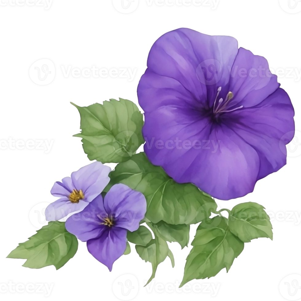 Purper of paars ochtend- heerlijkheid bloem klem kunst of sticker png