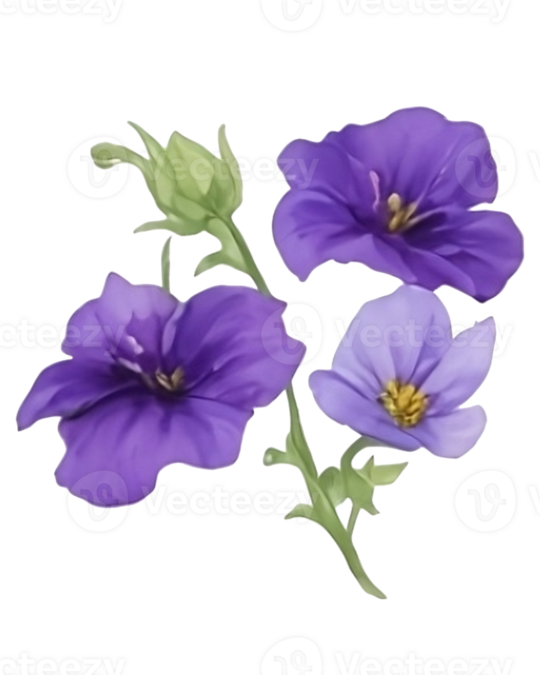 Purple or violet Morning glory flower clip art or sticker png