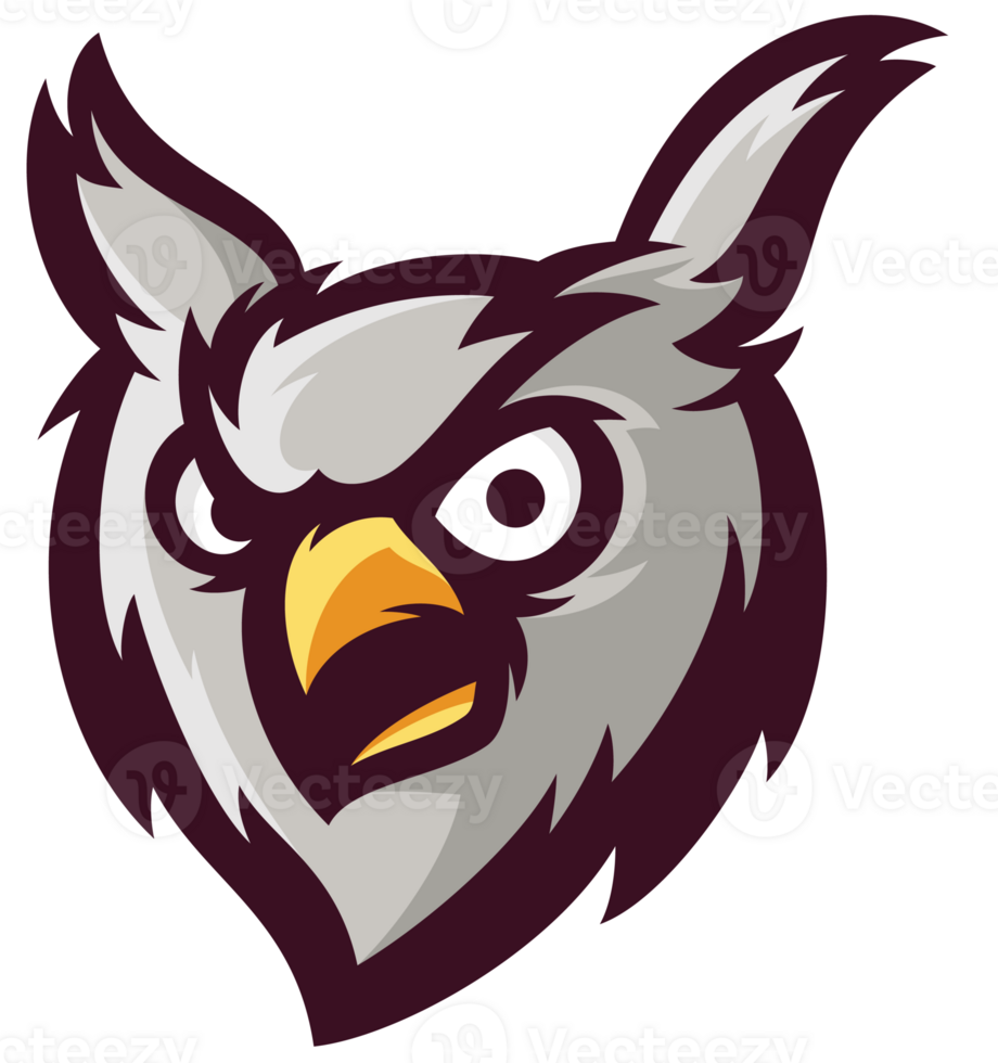 Animal Owl Head Beast Colorful Sport Mascot png