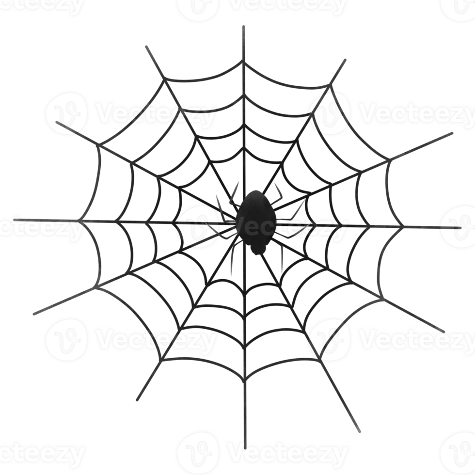 spider web on halloween png