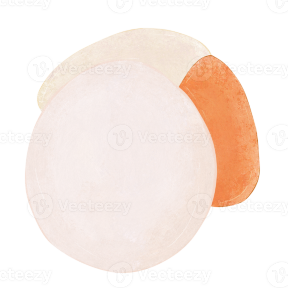 Scallops and shells png