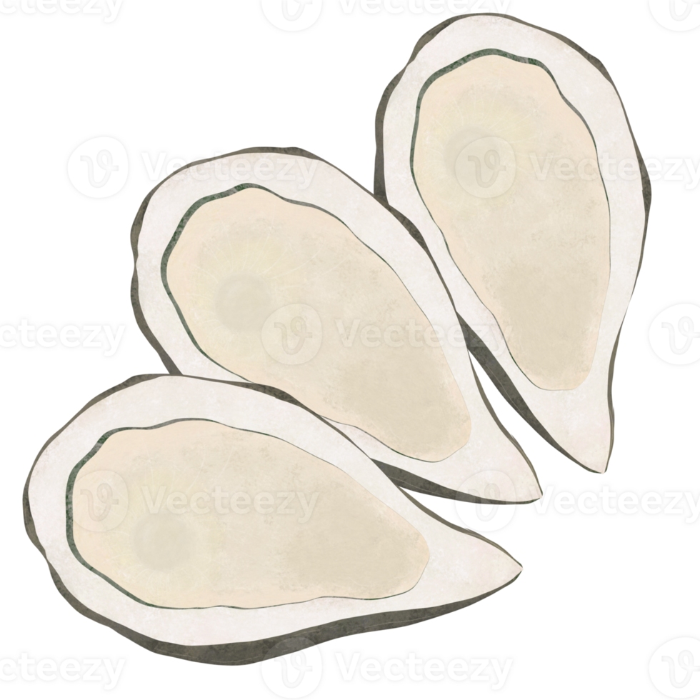 Oysters in the sea 27155398 PNG