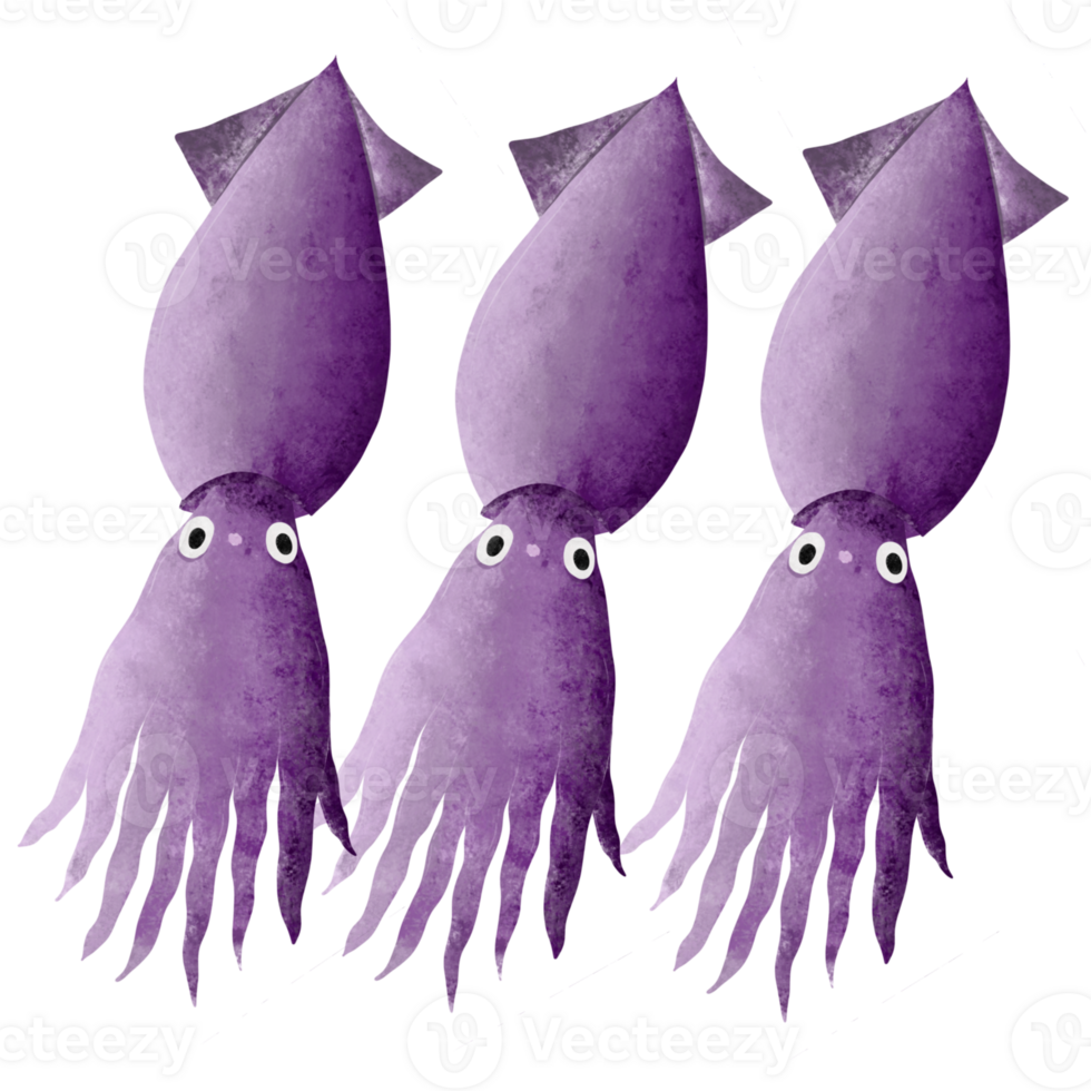 Squid in the sea png