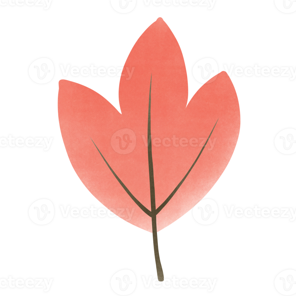maple leaf on halloween png