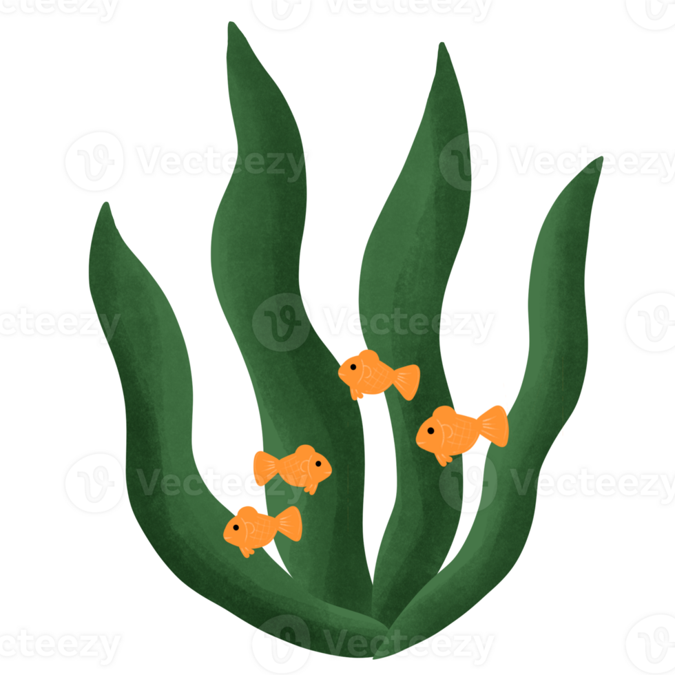 Seaweed in the sea png
