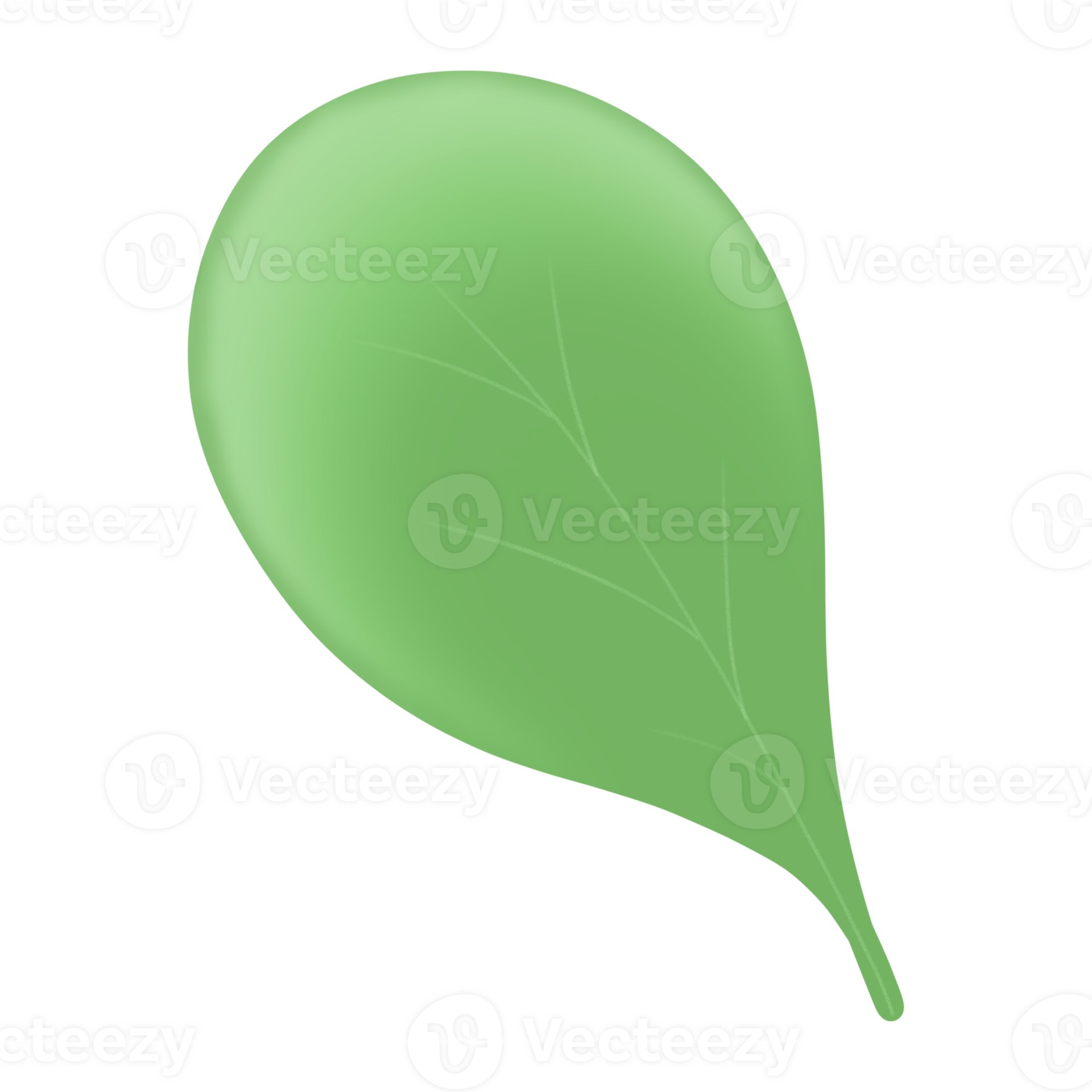 Spinach vegetable green vegetable 27155535 PNG