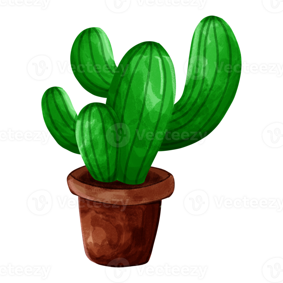 Little cute cactus in the pot png