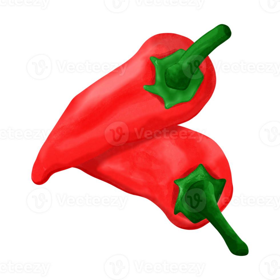Cute and delicious fresh chili png