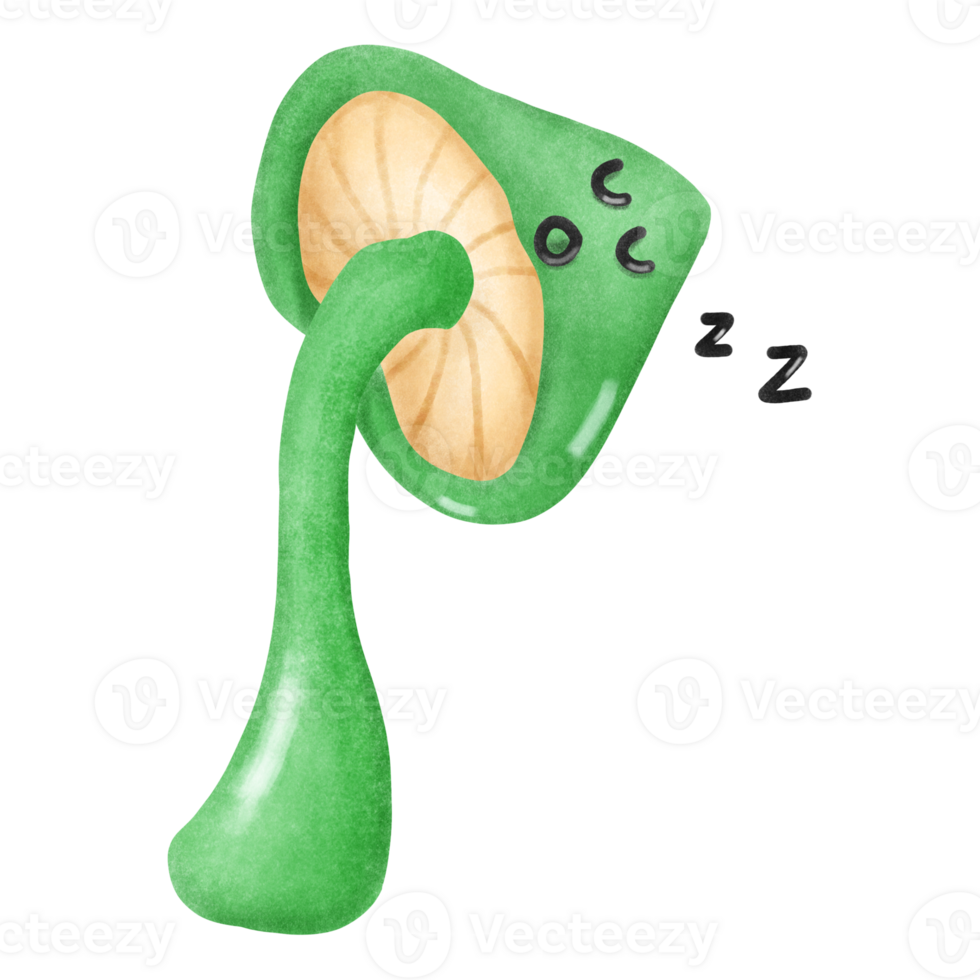 Cute sleep mushroom charactor hand draw png