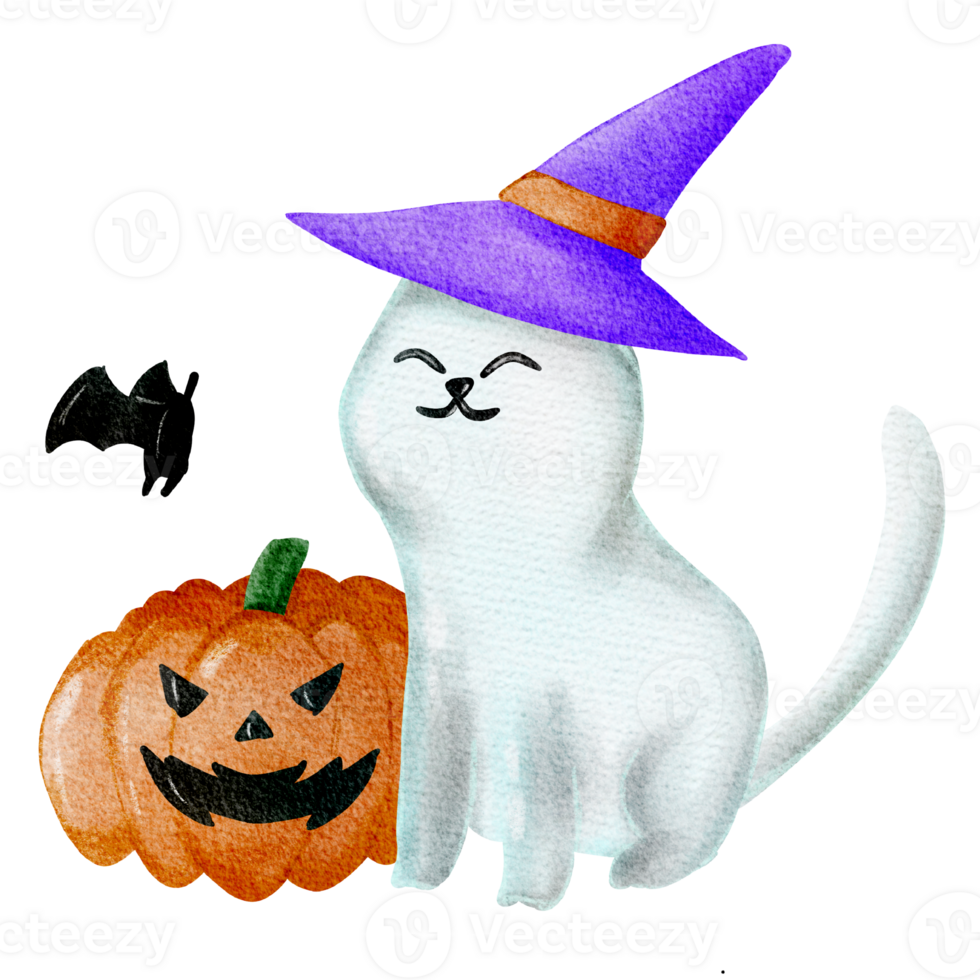 Cute little halloween white cat wearing a witch hat png