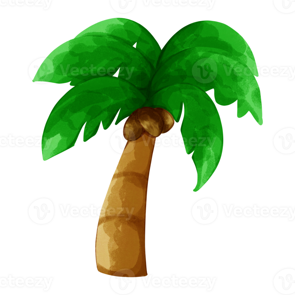 Cute a little coconut tree png