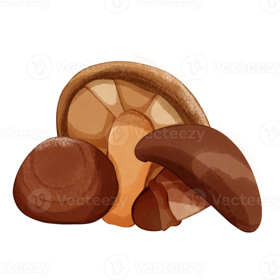 Cute autumn three mushrooms png