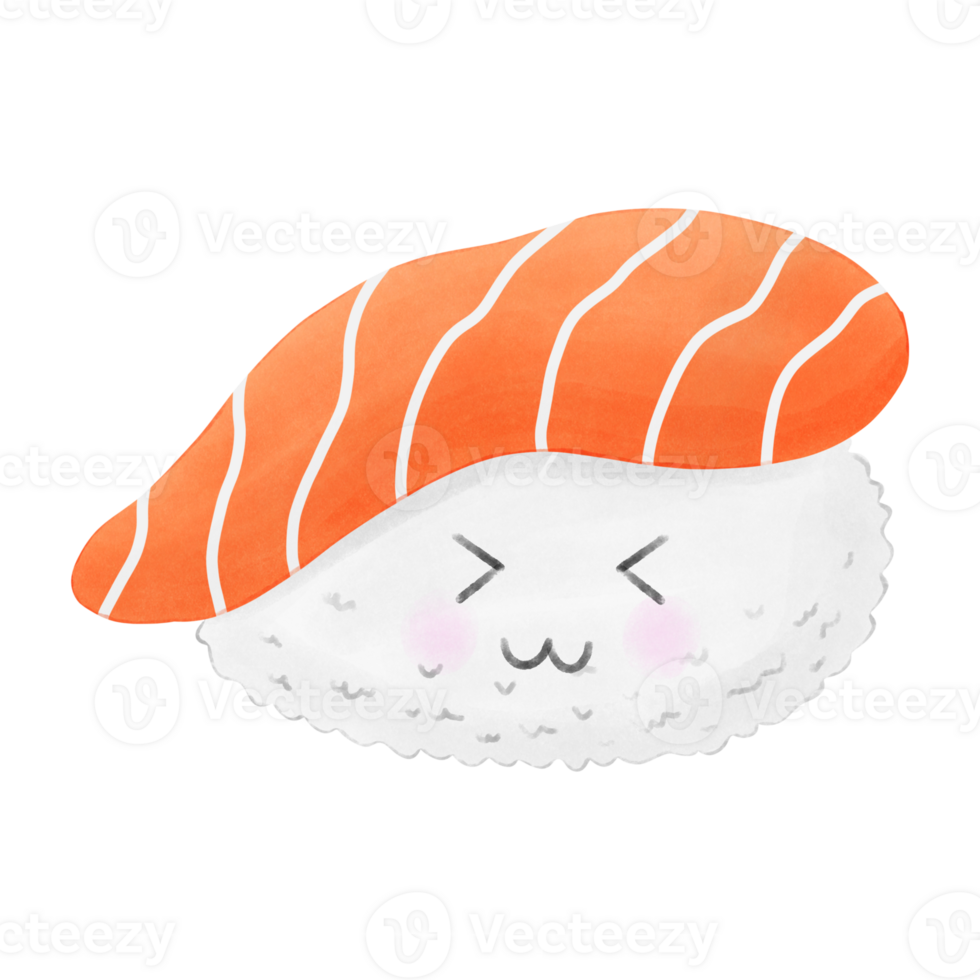 Delicious and cute salmon sushi png