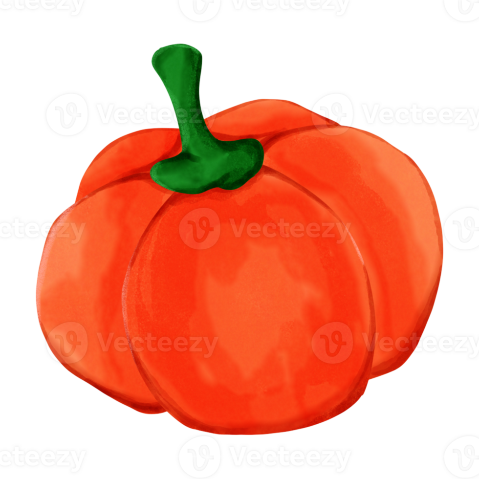 Cute and delicious fresh pumpkin png
