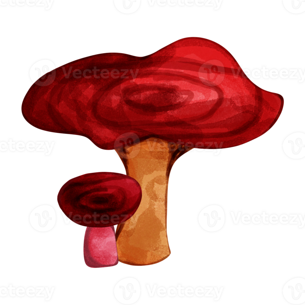 Cute a big red mushroom png