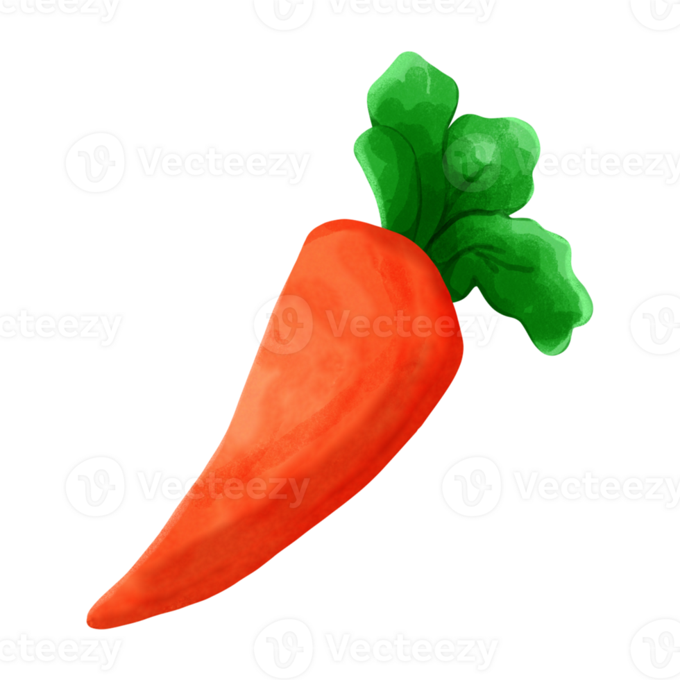Cute and delocious fresh carrot png