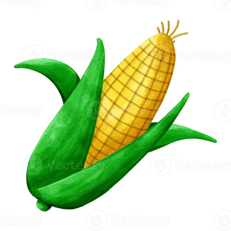 Cute and delicious fresh corn png