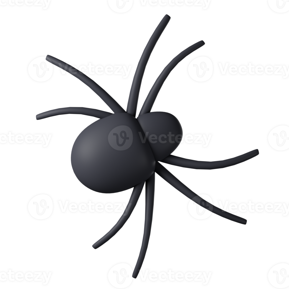 3D realistic spider isolated on transparent background. halloween spider png