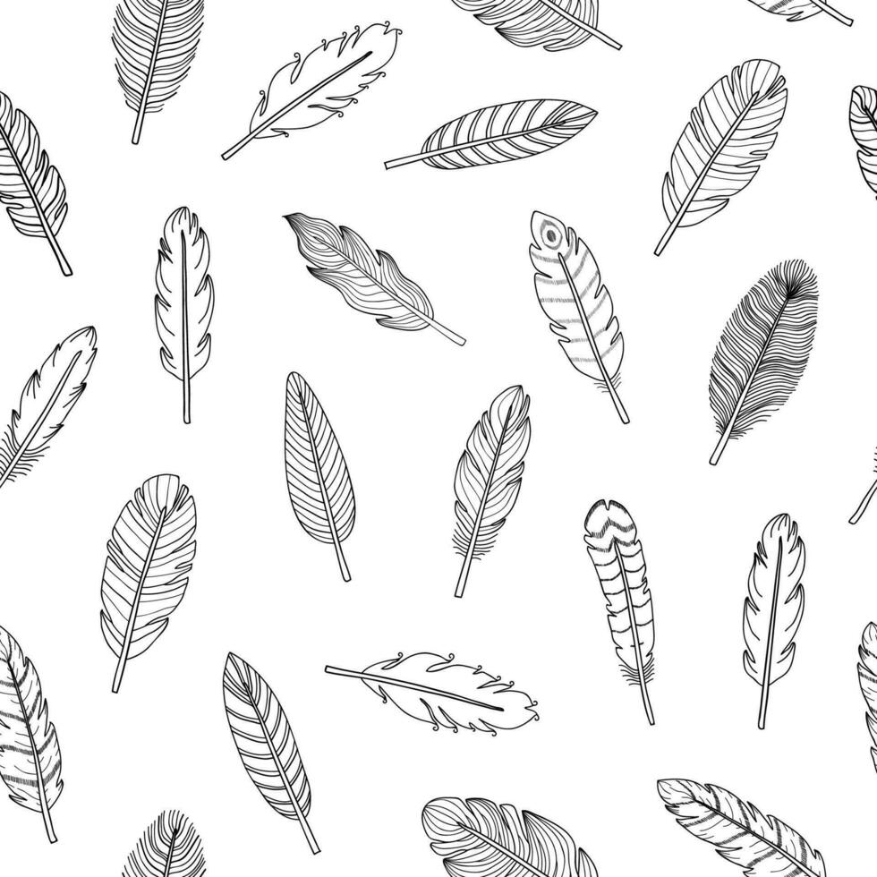 Seamless pattern with boho feathers. vector