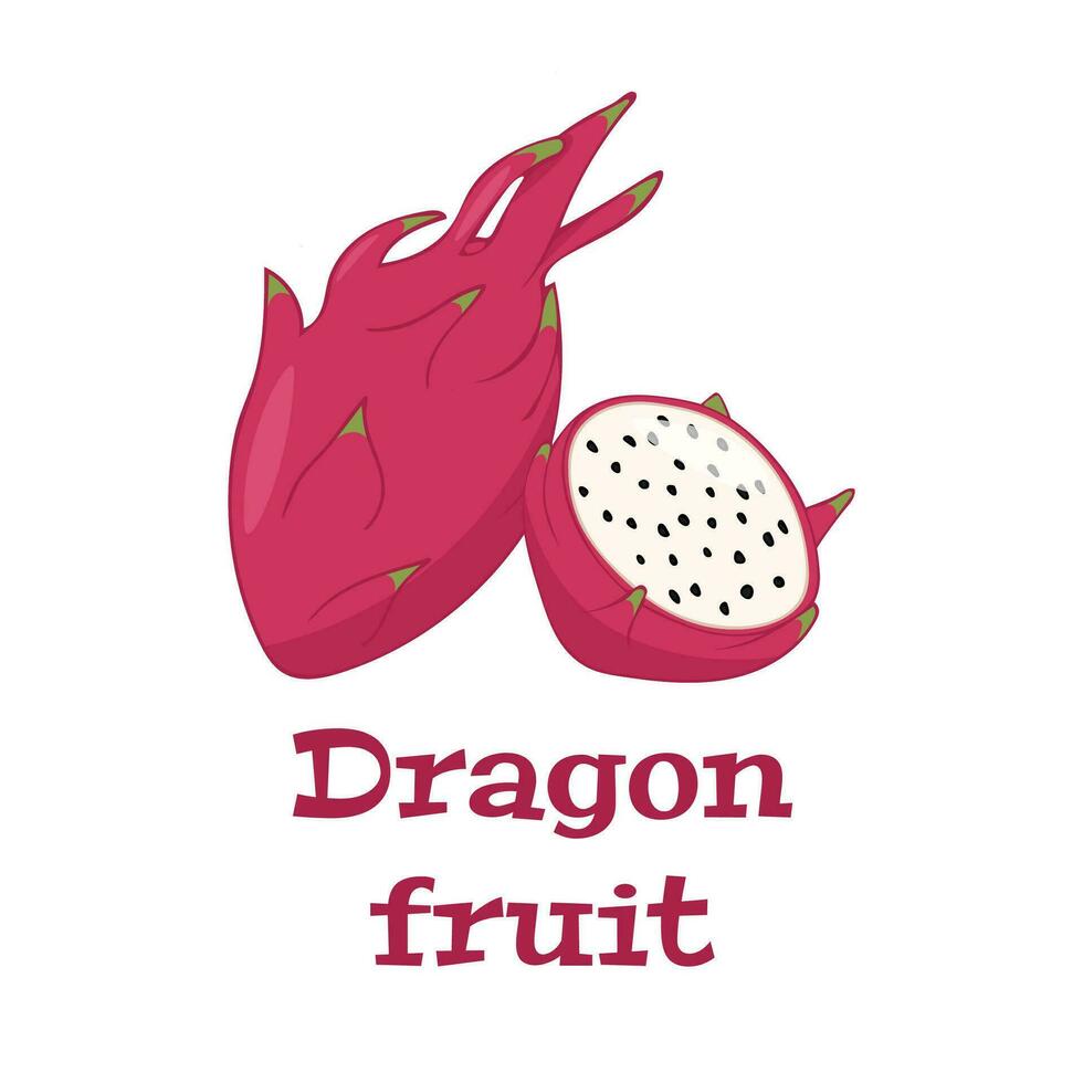 Colored vector illustration of dragon fruit. Design element for fabric, textile, clothing, wrapping paper, wallpaper