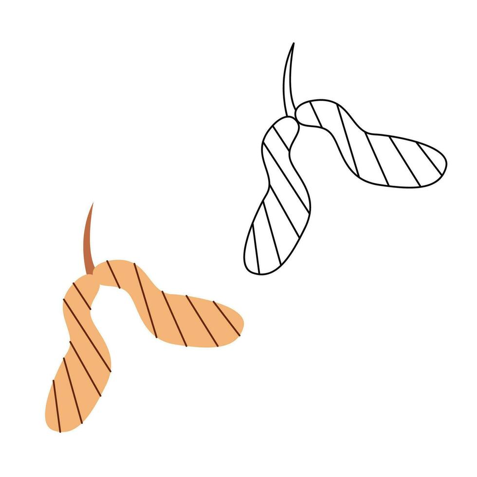 Small set with abstract maple seeds. Black and white and color clipart vector illustration.