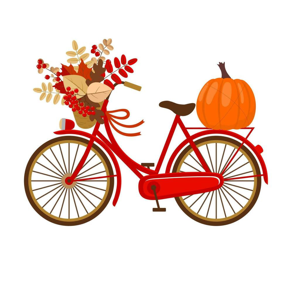 A red bicycle with an autumn bouquet of leaves and a pumpkin. Vector. Illustrated clipart. vector