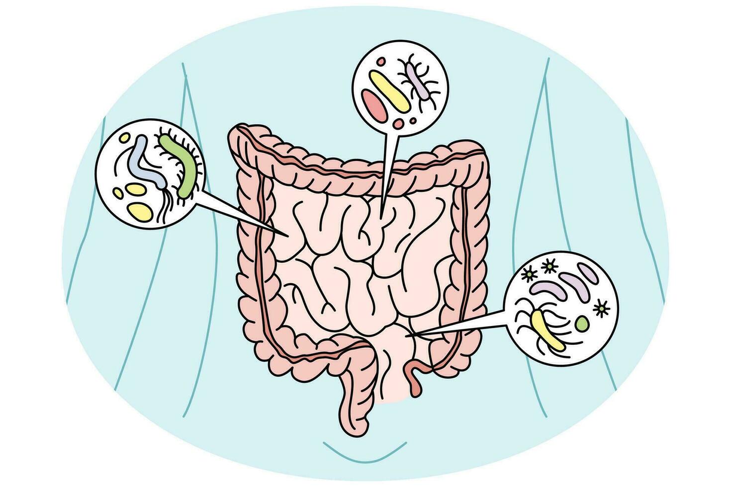 Digestive tract with bacteria inside. Person digestion organs intestines with virus. Healthcare and bowel. Vector illustration.