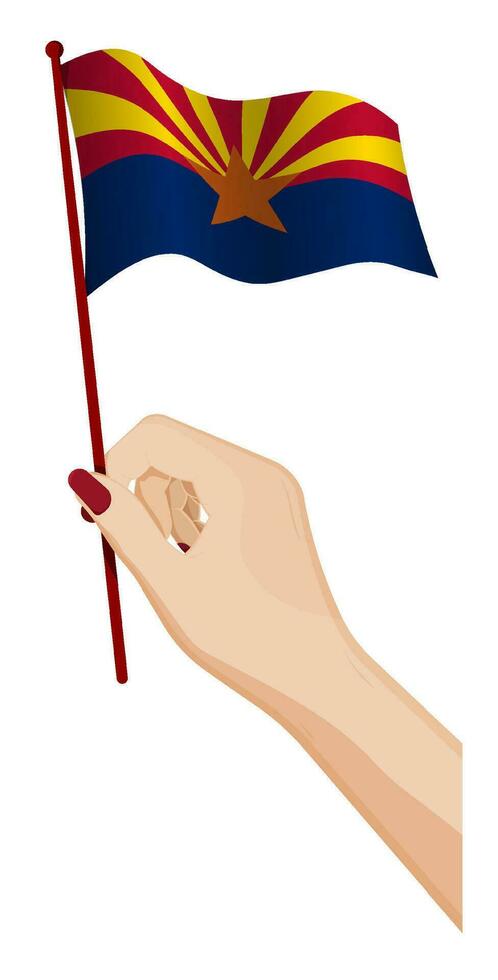 Female hand gently holds small flag of american state of Arizona. Holiday design element. Cartoon vector on white background